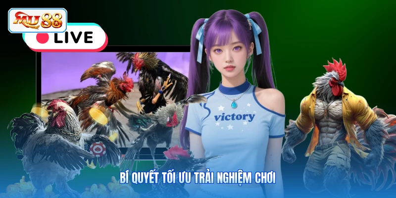 Bí quyết tối ưu trải nghiệm chơi