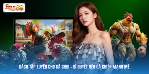 Đách Tập Luyện Cho Gà Chọi - Bí Quyết Rèn Gà Chiến Mạnh Mẽ