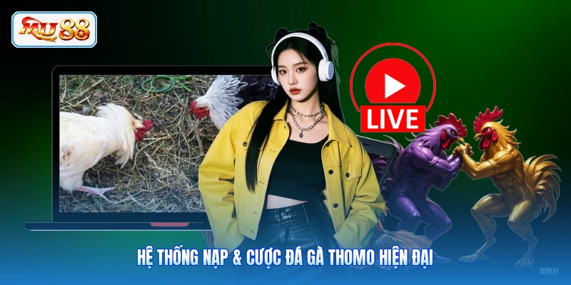 Hệ thống nạp & cược đá gà Thomo hiện đại