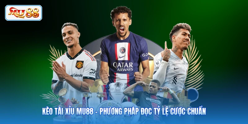 Kèo Tài Xỉu MU88 - Phương Pháp Đọc Tỷ Lệ Cược Chuẩn
